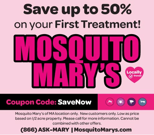 ad for half off first mosquito treatment